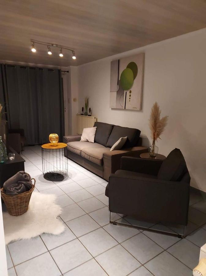 Appartement Rdc Plein Centre Avec Terrasse Visé Exterior foto